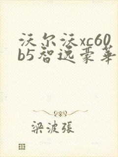 沃尔沃xc60b5智逸豪华版
