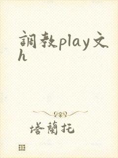 调教play文h