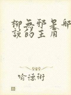 柳无邪是哪本小说的主角