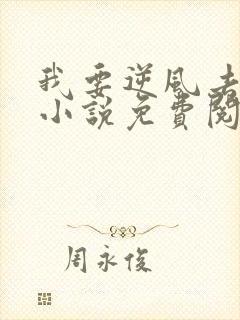 我要逆风去原著小说免费阅读
