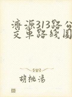 济源313路公交车路线图 济源313路公交车路线图
