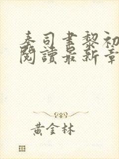秦司聿黎初全文阅读最新章节