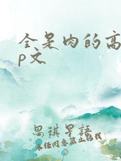 全是肉的高hnp文