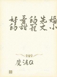好看的先婚后爱的甜宠文小说