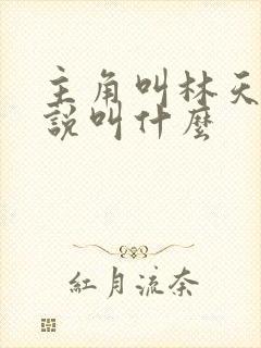 主角叫林天的小说叫什么
