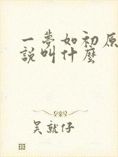 一梦如初原著小说叫什么