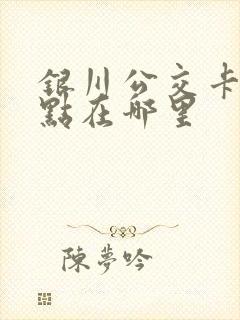 银川公交卡充值点在哪里 银川公交卡充值点在哪里