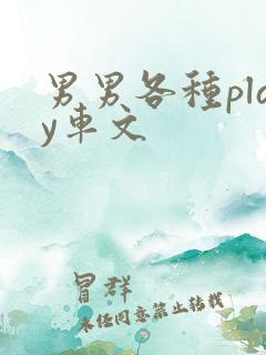 男男各种play车文