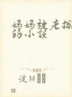 妈妈被老总调教的小说