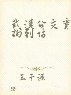 武汉公交实时查询到站