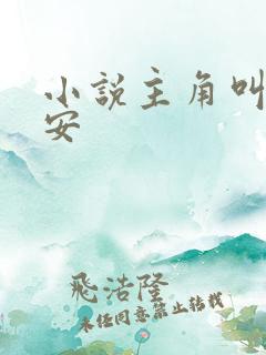 小说主角叫李辰安