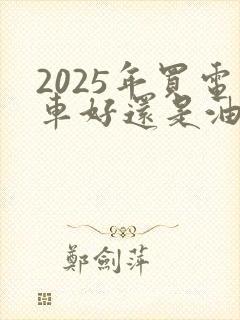 2025年买电车好还是油车好