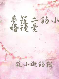 梦筱二的小说先婚后爱