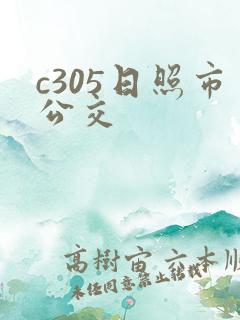 c305日照市公交