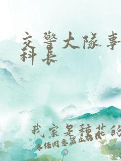交警大队事故科科长