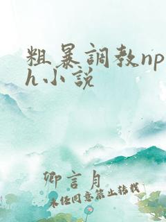 粗暴调教np高h小说