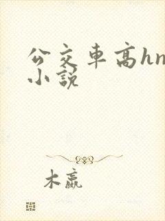 公交车高hnp小说