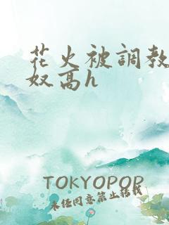 花火被调教成肉奴高h
