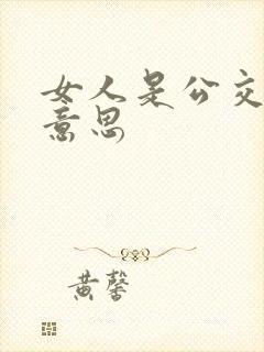 女人是公交车的意思