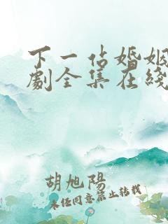 下一站婚姻电视剧全集在线观看免费