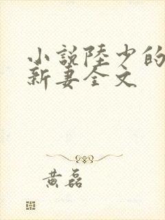 小说陆少的暖婚新妻全文