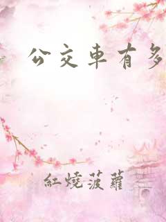 公交车有多长