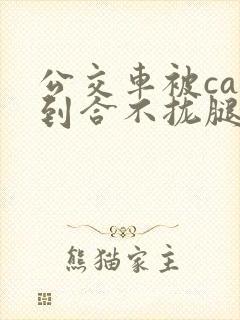 公交车被cao到合不拢腿