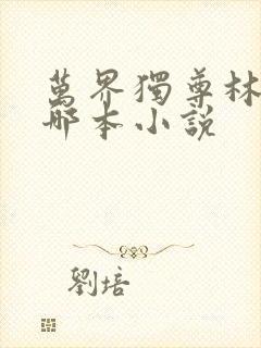 万界独尊林枫是哪本小说