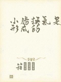 小肠换气是怎么形成的
