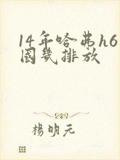 14年哈弗h6国几排放