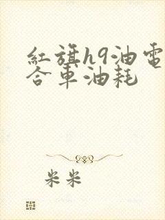 红旗h9油电混合车油耗