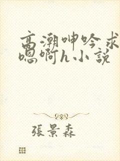 高潮呻吟求饶h嗯啊h小说