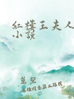 红楼王夫人双飞小说