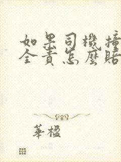 如果司机撞人是全责怎么赔