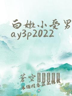 白嫩小受男同gay3p2022 白嫩小受男同gay3p2022