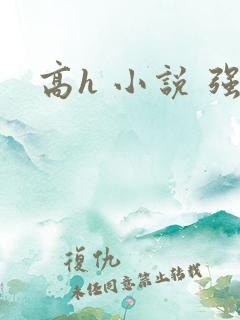 高h 小说 强