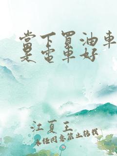 当下买油车好还是电车好