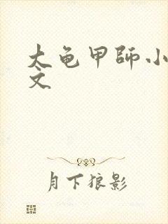 大龟甲师小说全文