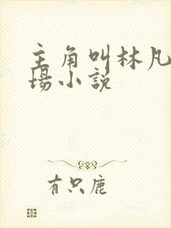 主角叫林凡的官场小说