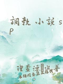 调教 小说 sp