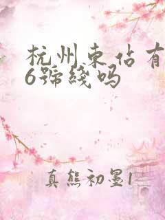 杭州东站有地铁6号线吗