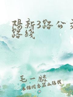 阳新3路公交车路线