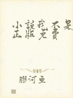 小说我不是戏神正版免费