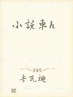 小说车h
