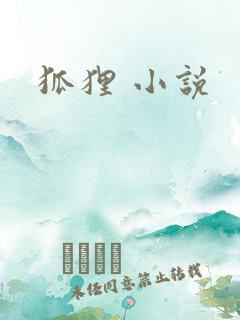 狐狸 小说
