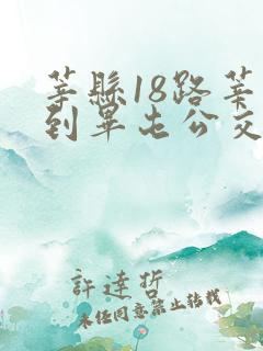 莘县18路莘县到毕屯公交车