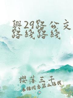 兴29路公交车路线路线