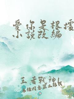 爱你是根据哪部小说改编