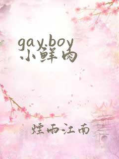 gay.boy小鲜肉