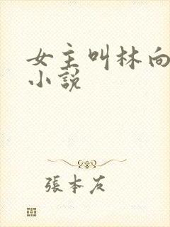 女主叫林向晚的小说